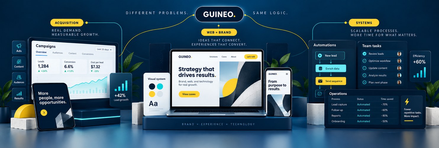 GUINEO overview showing acquisition, web and brand, and systems connected through one strategic logic